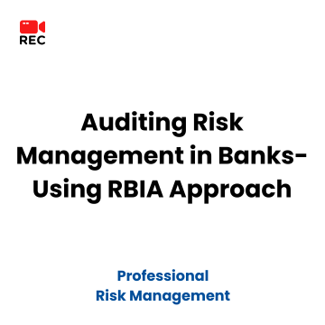 Auditing Risk Management in Banks-Using RBIA Approach